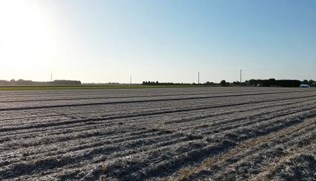 农资供应在农业技术应用中的适用场景与限制